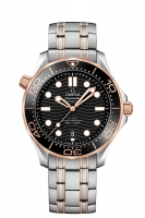 OMEGA Seamaster Steel Sedna Gold Chronometer 210.20.42.20.01.001