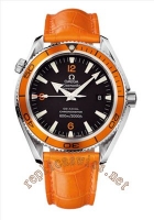 Omega Seamaster Planet Ocean Hommes 2909.50.38 Montre Réplique