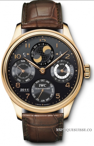 IWC Portuguese Perpetual Calendar Hemisphere Moonphase Montre Homme IW502122