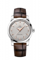 OMEGA Seamaster Platinum Anti-magnetique 511.93.38.20.99.002