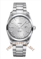 Omega Seamaster Aqua Terra Quartz Hommes 2517.30.00 Montre Réplique