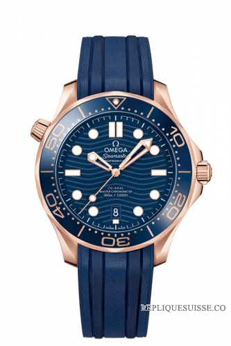 OMEGA Seamaster Sedna or Anti-magnetique 210.62.42.20.03.001