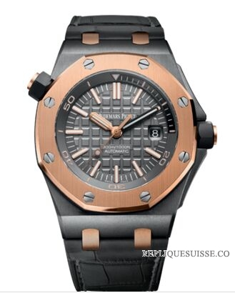 Audemars Piguet Royal Oak Offshore Diver remonTAGe automatique QE II Cup 2014 Montre Réplique