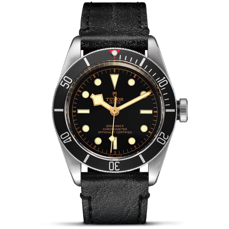 Copie de Montre Tudor Black Bay 41 mm M79230N-0008